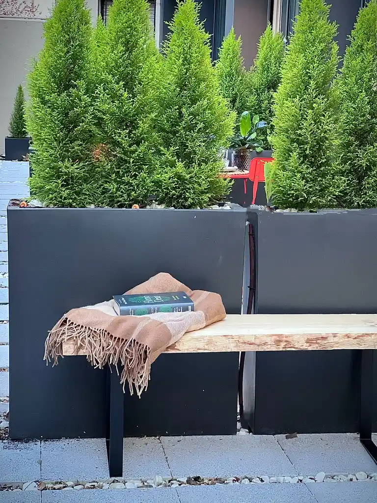 05E6DF06-B49C-4325-A651-0A438F3CA4C8_1_105_c