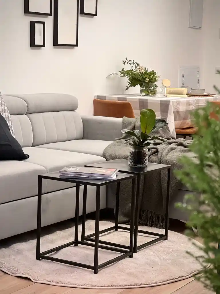 3EF57EA4-C6ED-4272-A388-BD6E69CDD7FB_1_105_c