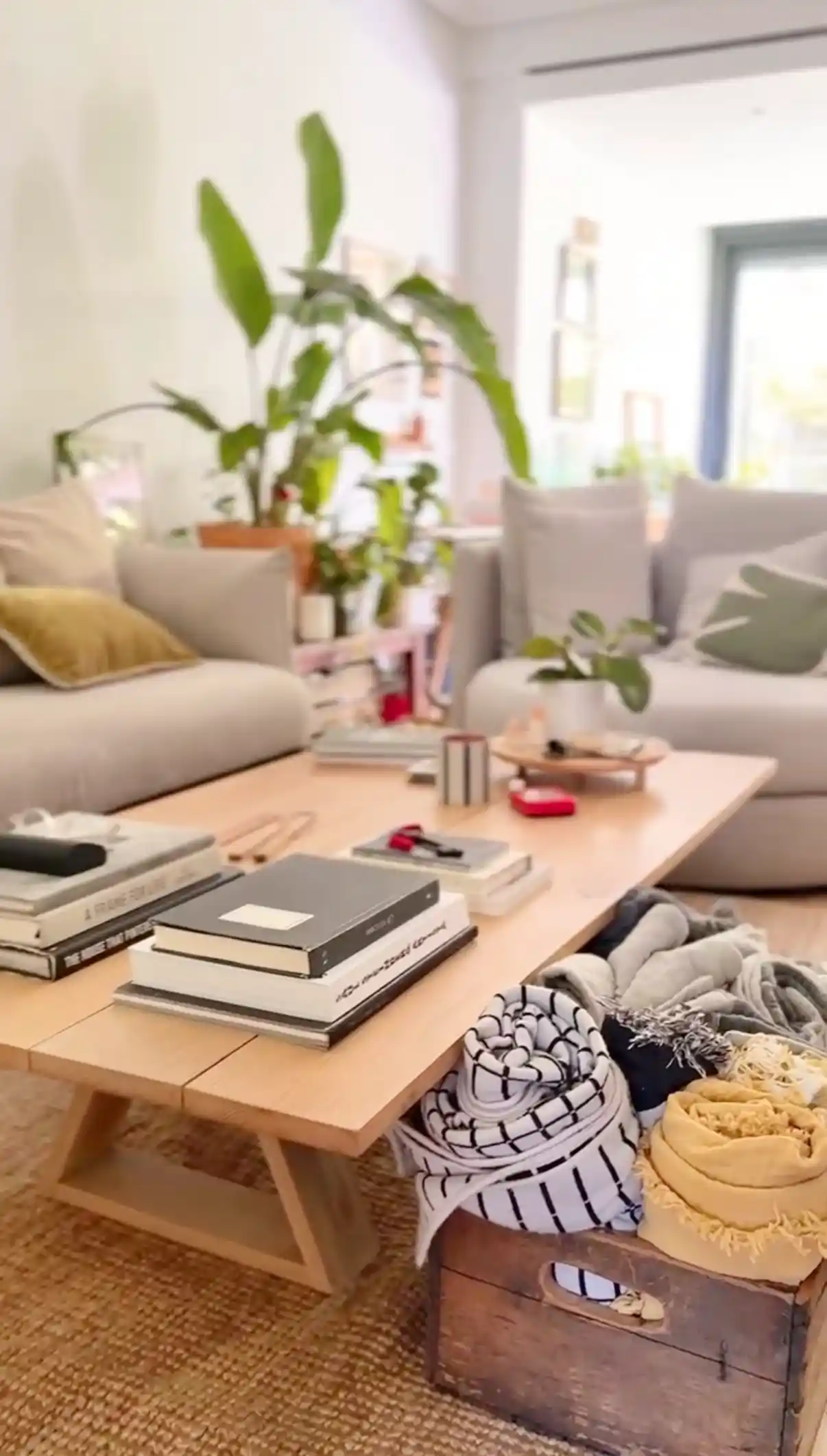 4ACB6327-6BFB-4778-B548-27D23D7AACED_1_201_a