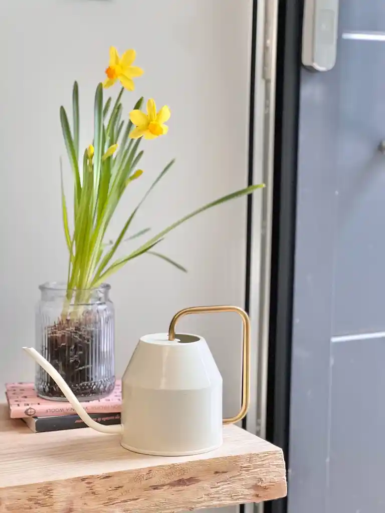 90708026-63C0-494C-848D-B1CDA20B2948_1_105_c