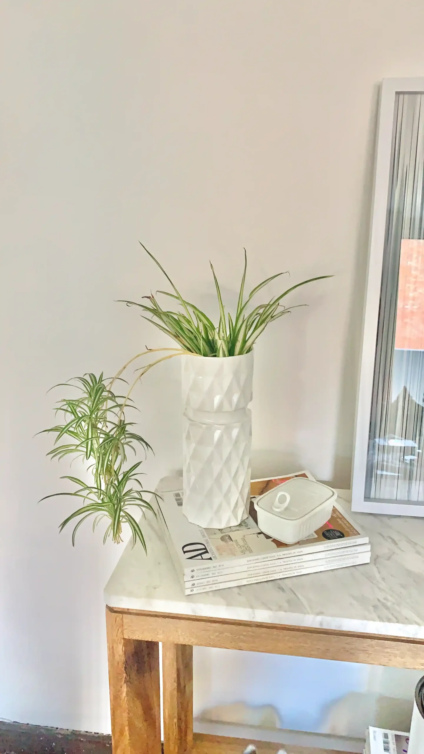 Casa 5.78 2 D32B3CD1-E793-4256-B3EB-BE882D8ED41B_1_201_a