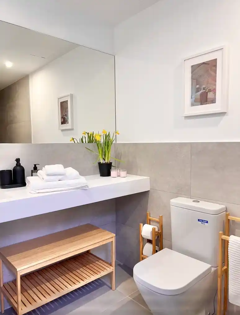 F9FFF93C-08BA-46A6-93FF-2AE3B2E81C51_1_105_c